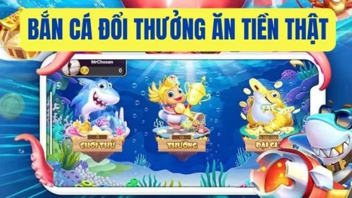 Lựa chọn đại dương phù hợp